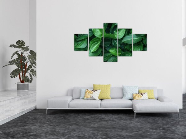 Obraz - Zelené listy (125x70 cm)