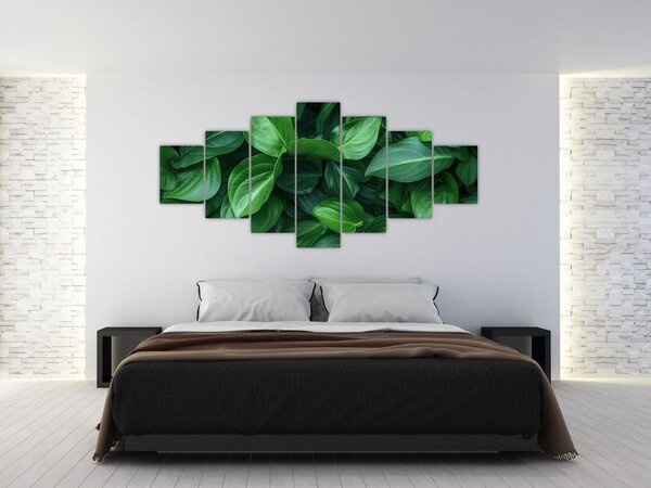 Obraz - Zelené listy (210x100 cm)