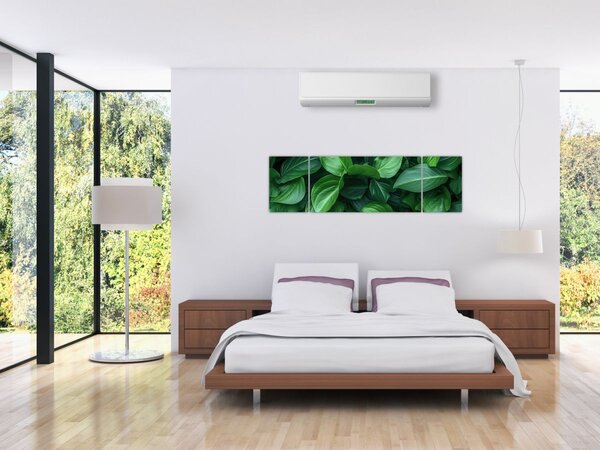 Obraz - Zelené listy (170x50 cm)
