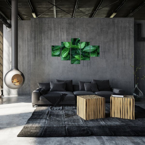 Obraz - Zelené listy (125x70 cm)