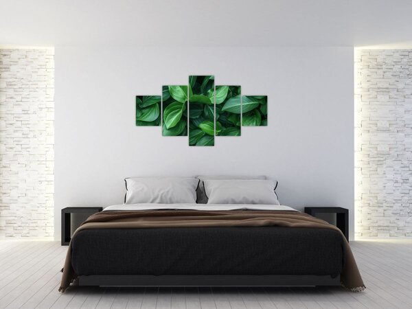 Obraz - Zelené listy (125x70 cm)