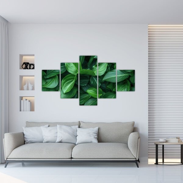 Obraz - Zelené listy (125x70 cm)