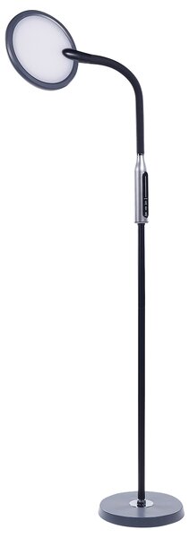 LED stojací lampa CASSIOPEIA se stmívačem Kov Černá