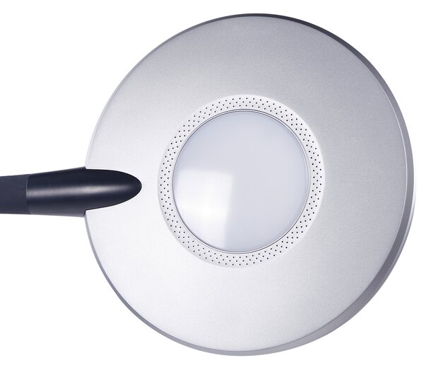 LED stojací lampa CASSIOPEIA se stmívačem Kov Černá