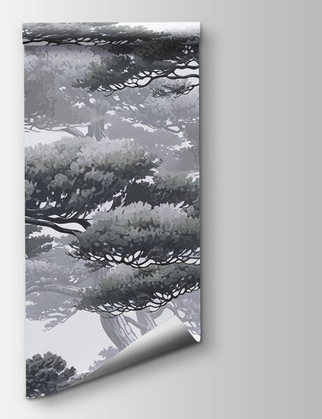 Fototapeta Skupina stromů s větvemi, Přírodní fototapety, Populární fototapety, w01755v1 - Tapeko.co.cz