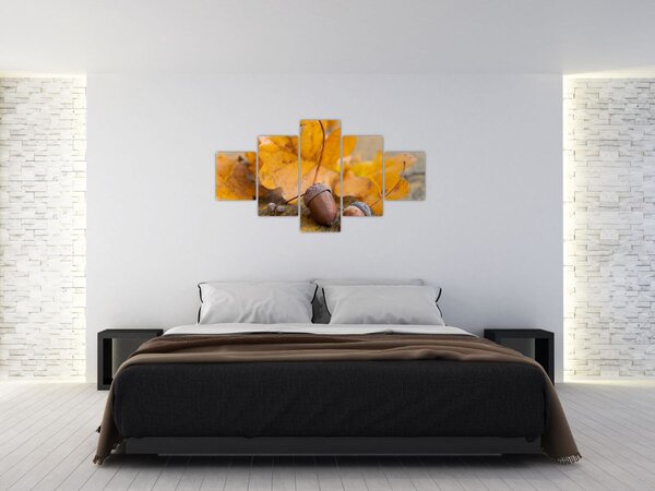 Obraz - Podzimní žaludy (125x70 cm)