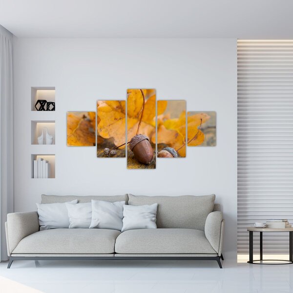 Obraz - Podzimní žaludy (125x70 cm)