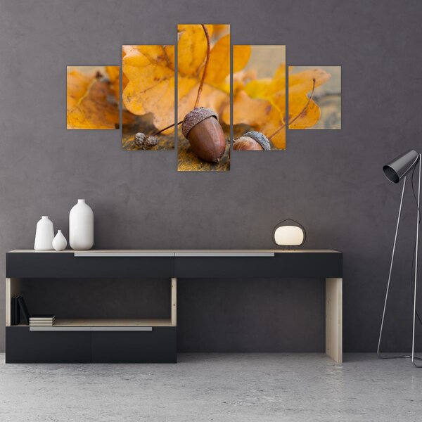 Obraz - Podzimní žaludy (125x70 cm)