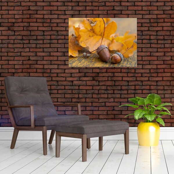 Obraz - Podzimní žaludy (70x50 cm)