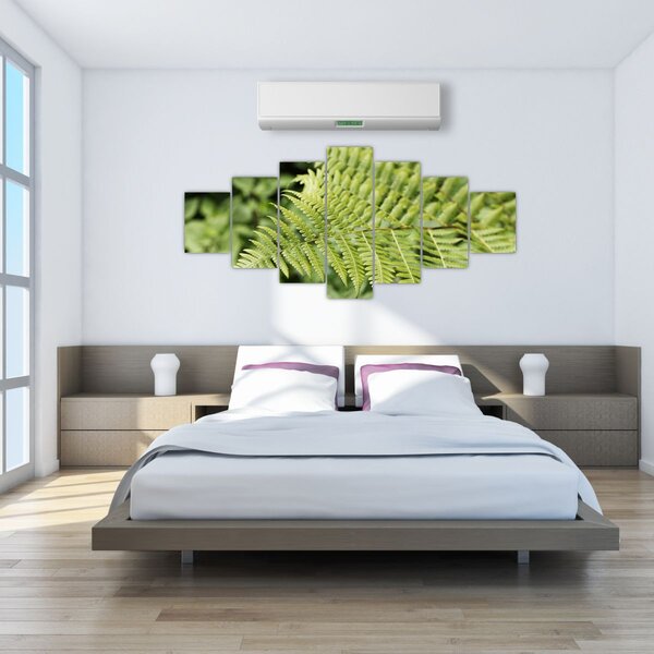 Obraz - Kapradinový list (210x100 cm)
