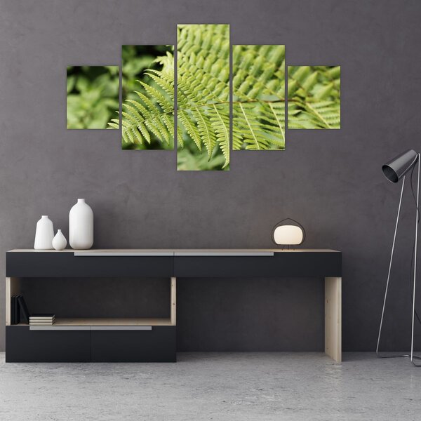 Obraz - Kapradinový list (125x70 cm)
