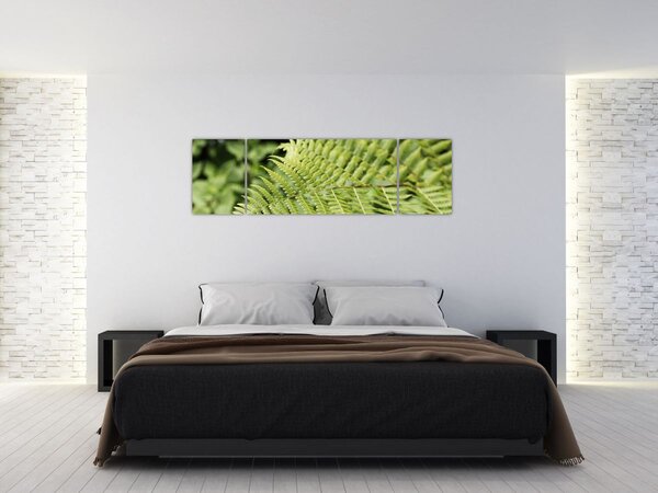 Obraz - Kapradinový list (170x50 cm)