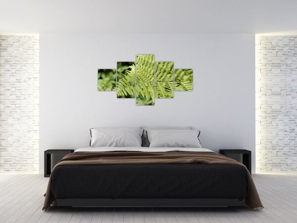 Obraz - Kapradinový list (125x70 cm)