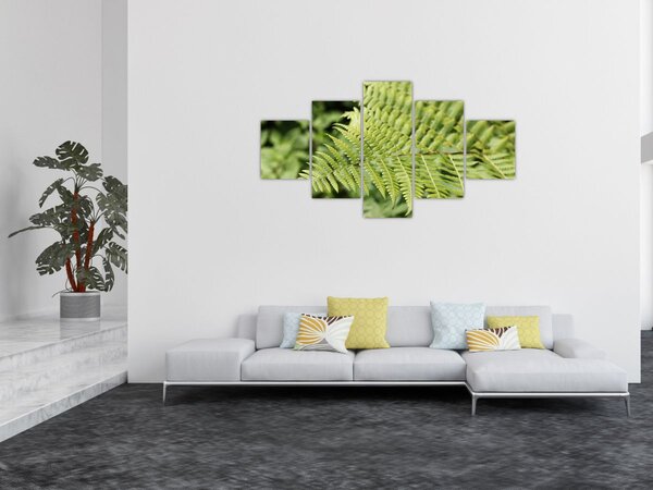 Obraz - Kapradinový list (125x70 cm)