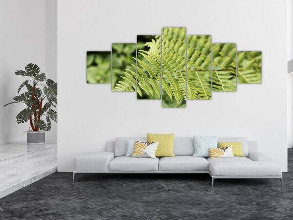 Obraz - Kapradinový list (210x100 cm)