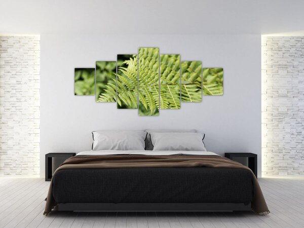 Obraz - Kapradinový list (210x100 cm)