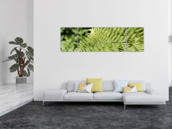 Obraz - Kapradinový list (170x50 cm)