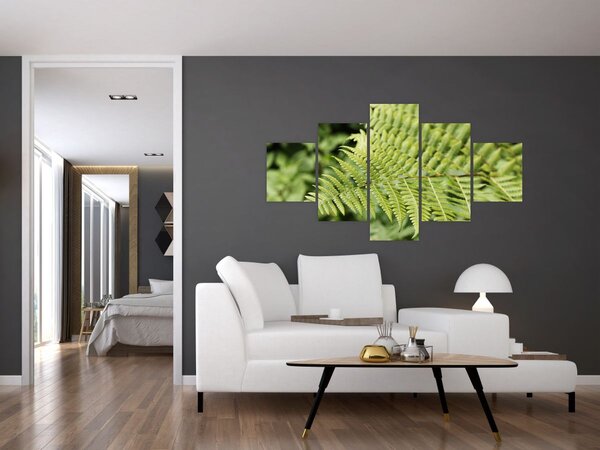 Obraz - Kapradinový list (125x70 cm)