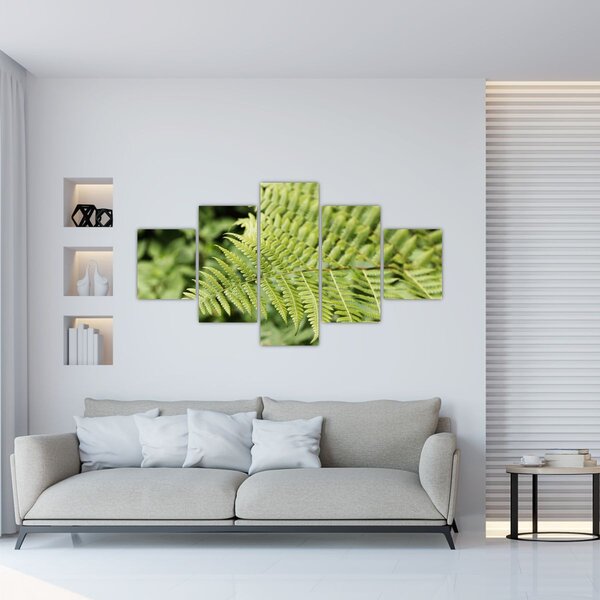 Obraz - Kapradinový list (125x70 cm)