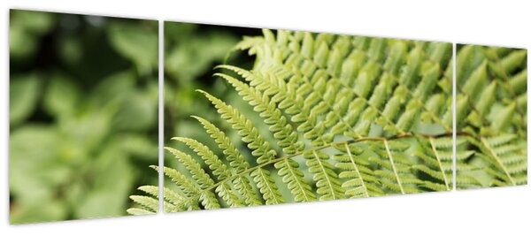 Obraz - Kapradinový list (170x50 cm)