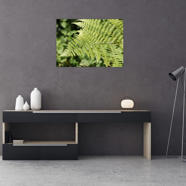 Obraz - Kapradinový list (70x50 cm)