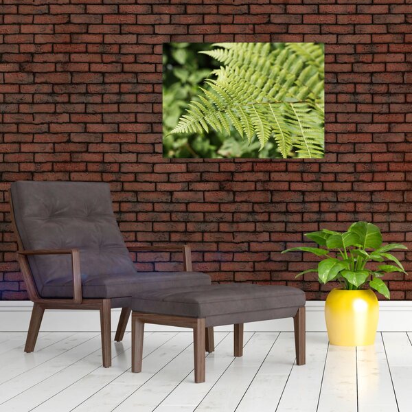 Obraz - Kapradinový list (70x50 cm)