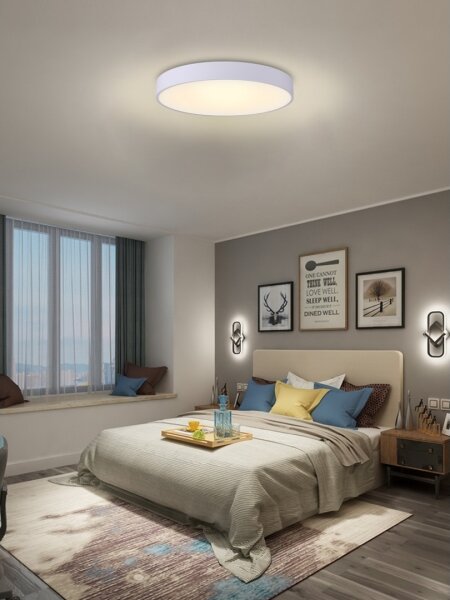 Immax NEO 07206L-LED Stmívatelné stropní svítidlo RONDATE 53W/230V bílá Tuya+DO