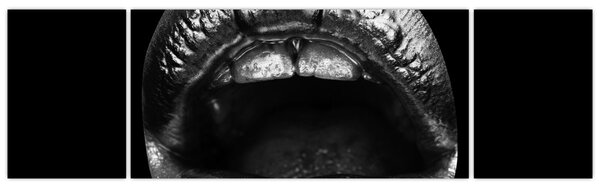Obraz - Lesklé rty (170x50 cm)