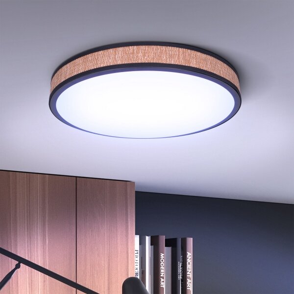 Brilagi - LED Stmívatelné stropní svítidlo ROSA LED/48W/230V 3000-6500K + DO