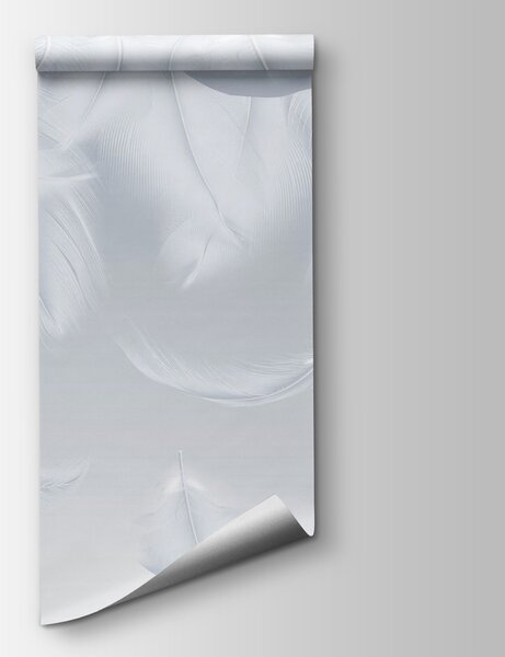Fototapeta Bílé peří padá dolů, Fototapety s pírky, Populární fototapety, w01150v2 - Tapeko.co.cz