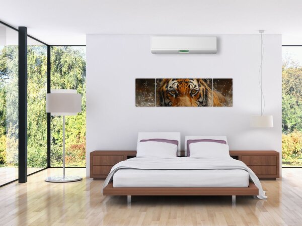 Obraz - Portrét tygra ve vodě (170x50 cm)