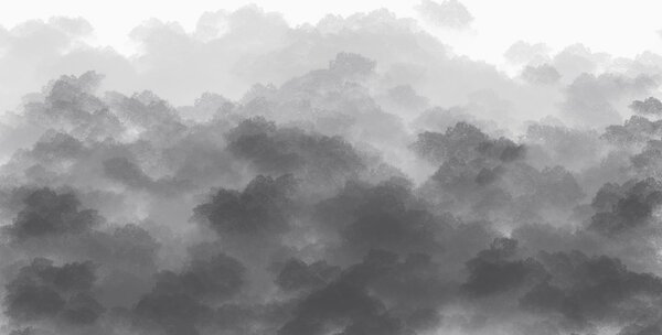 Fototapety Les v mlze, přírodní krajiny, šedá barva, Fototapety akvarel, w01880v3 : uwalls.cz