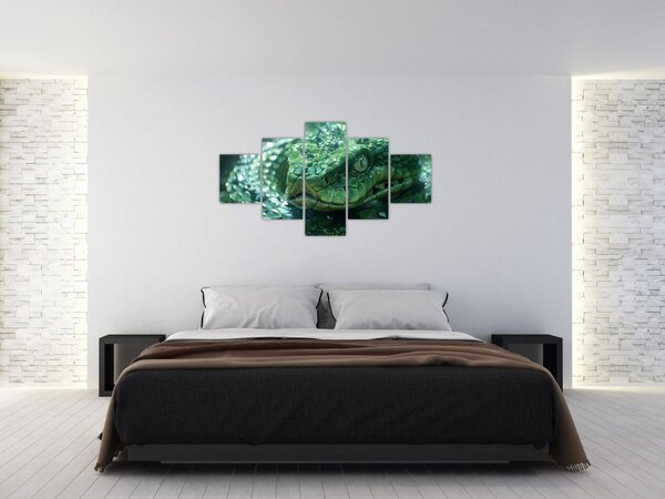 Obraz - Portrét hada (125x70 cm)