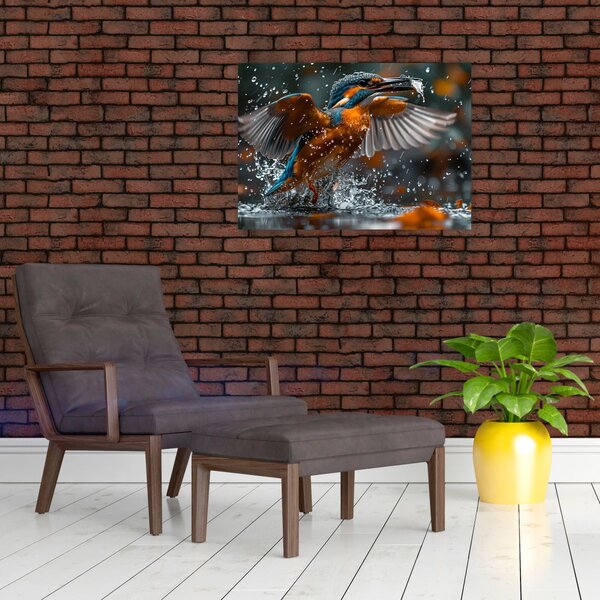 Obraz - Ledňáček (70x50 cm)
