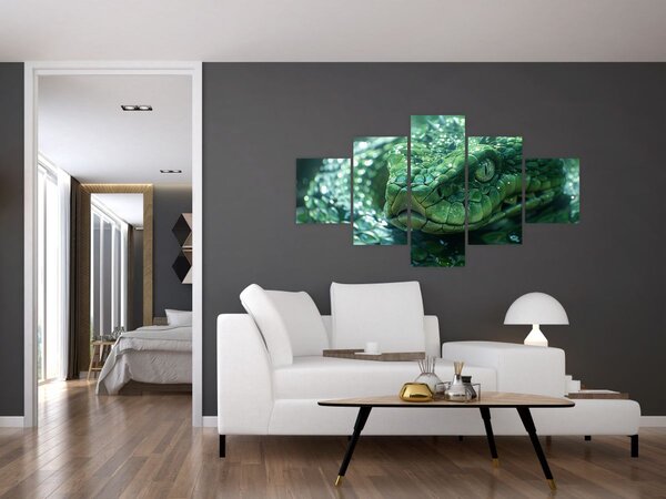 Obraz - Portrét hada (125x70 cm)