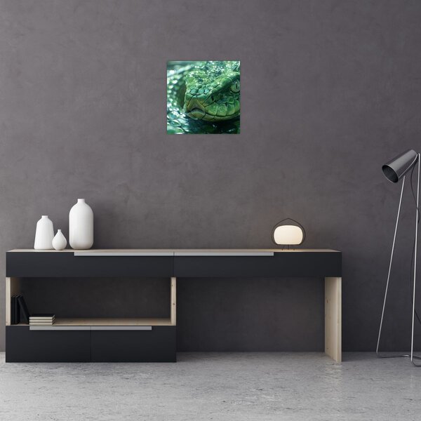 Obraz - Portrét hada (30x30 cm)
