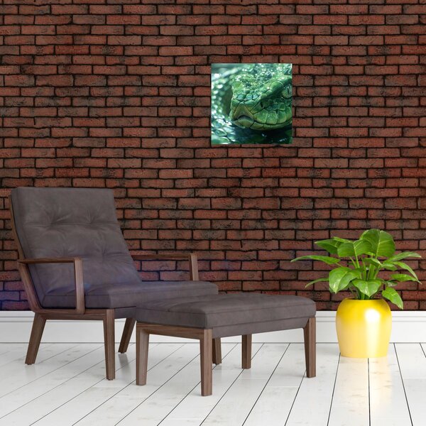 Obraz - Portrét hada (30x30 cm)