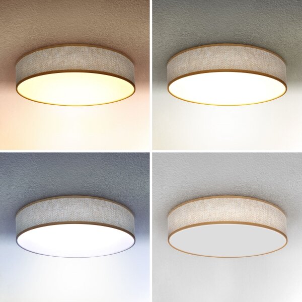 Brilagi - LED Stmívatelné stropní svítidlo CARMEN LED/48W/230V 3000-6500K + DO