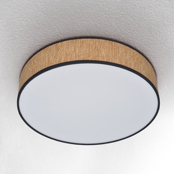 Brilagi - LED Stmívatelné stropní svítidlo ADELA LED/48W/230V 3000-6500K + DO