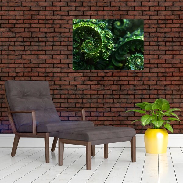Obraz - Spirály (70x50 cm)