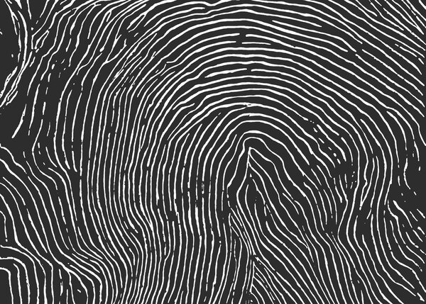 Fototapeta Černobílý vzor, Abstraktní fototapety, Populární fototapety, t00876v3 - Tapeko.co.cz