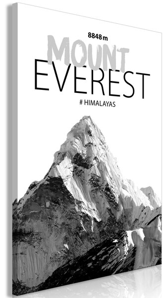 Obraz - Mount Everest 60x90
