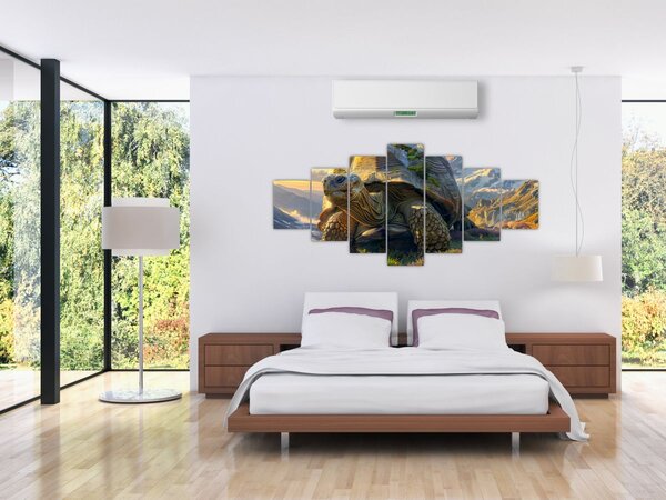 Obraz - Želva a horská krajina (210x100 cm)
