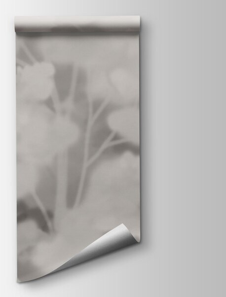 Fototapeta Skupina stromů v mlhavém prostředí, Přírodní fototapety, Populární fototapety, t00860 - Tapeko.co.cz