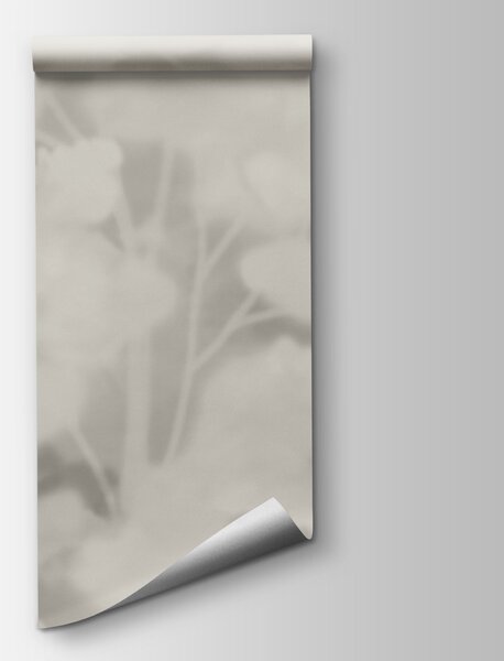 Fototapeta Skupina stromů v zamlženém lese, Přírodní fototapety, Populární fototapety, t00860v1 - Tapeko.co.cz