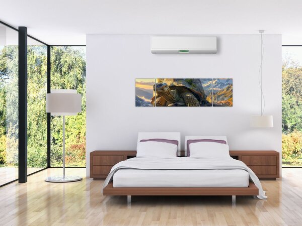 Obraz - Želva a horská krajina (170x50 cm)