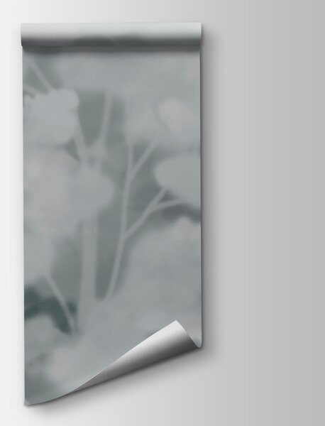 Fototapeta Skupina stromů v mlhavém prostředí, Přírodní fototapety, Populární fototapety, t00860v3 - Tapeko.co.cz