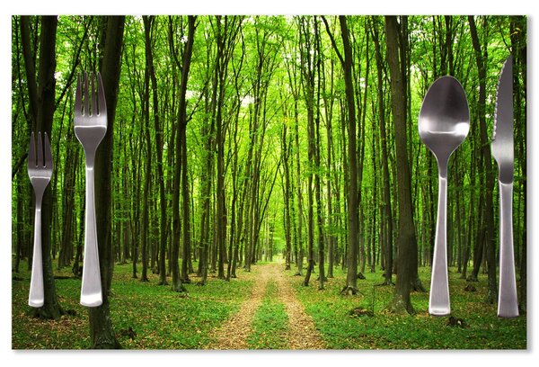Sablio Prostírání Cesta v lese: 40x30cm