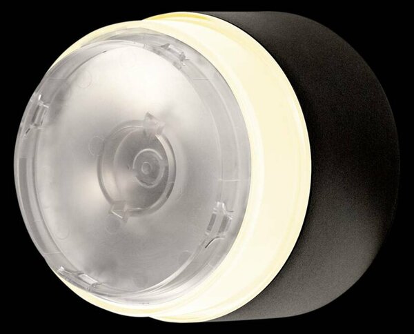 BIG WHITE SLV MANA WL PHASE nástěnné přisazené svítidlo antracit/rez kulaté 15 W 800/820 lm 2700/3000 K CRI90 stmívatelné 1006319 VÝPRODEJ VZORKU