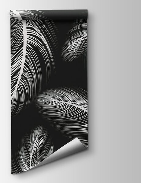 Fototapeta Skupina bílých per, Fototapety s pírky, Populární fototapety, w02369v4 - Tapeko.co.cz